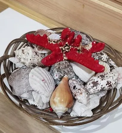 Guest house Magic Box 4*