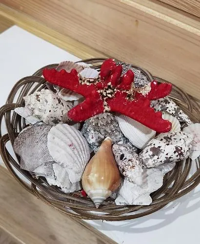 Pensiune Magic Box 3*